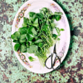 What is officially the healthiest food in the world?