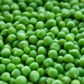 What is the #1 healthiest food?