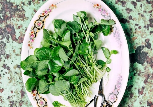 What is the number one healthiest food in the world?