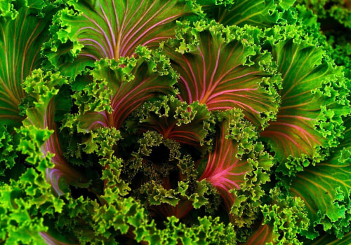 What is the number one healthiest food?